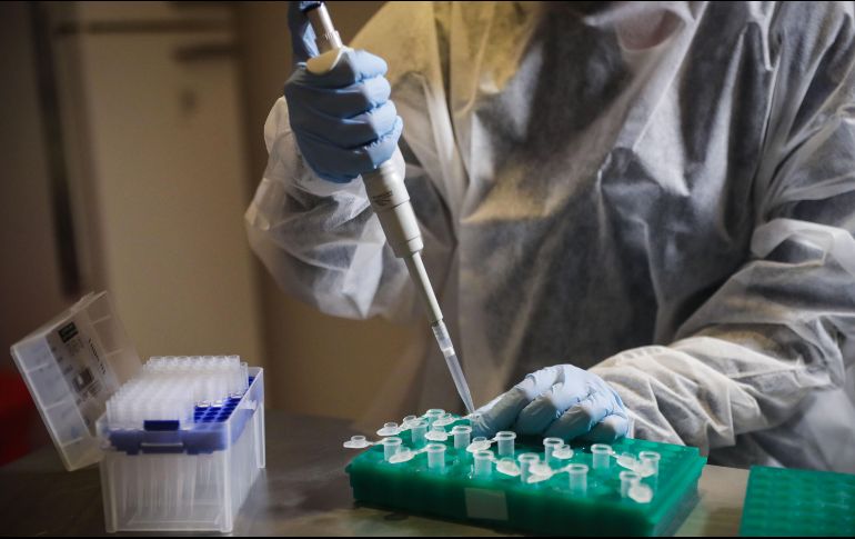 La vacuna BNT162b1 es capaz de generar una respuesta de anticuerpos neutralizantes a niveles mayores o iguales a los observados en sueros convalecientes. EFE/F. Anfitti