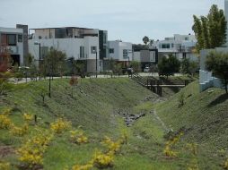 Además de soportar los malos olores, vecinos denuncian que varios ya se han enfermado de la garganta o de dengue. EL INFORMADOR/F. Atilano