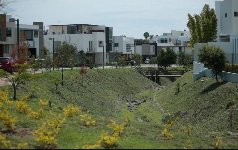 Además de soportar los malos olores, vecinos denuncian que varios ya se han enfermado de la garganta o de dengue. EL INFORMADOR/F. Atilano