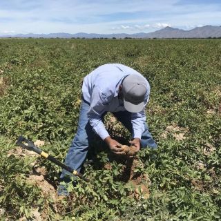 Se pierden más de 83 mil empleos durante junio en México