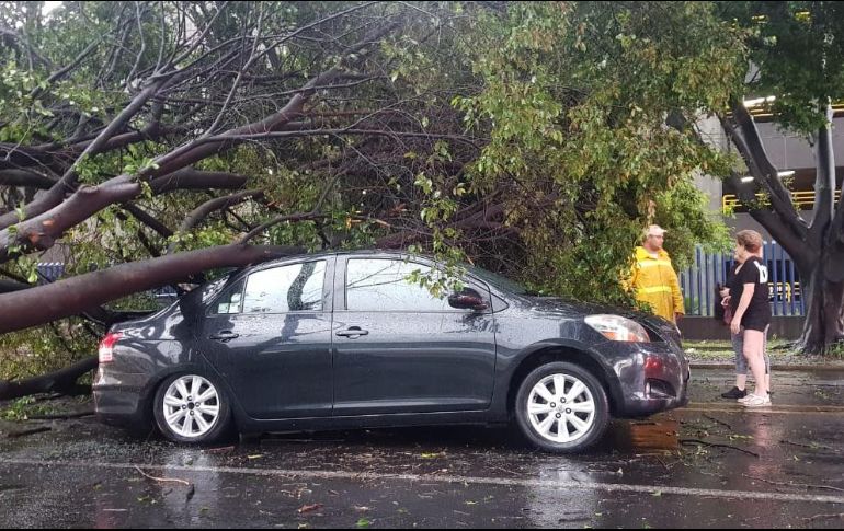 EL INFORMADOR / C. Lemus