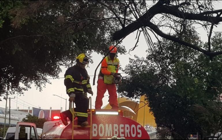 EL INFORMADOR / C. Lemus