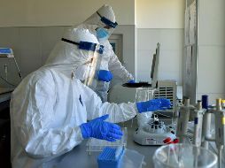 El fármaco Avifavir es avalado por el gobierno ruso tras demostrar alta eficiencia en ensayos clínicos. EFE/ARCHIVO