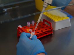 La agencia británica de ciberseguridad dice que estos piratas informáticos 