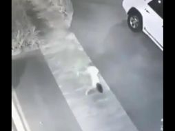 Algunos han comentado en Twitter que no se trata de un fenómeno paranormal, sino que es una niña o una mujer joven que padece algún trastorno que la hace caminar como si se tratara de algún animal. TWITTER