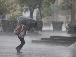 Habrá lluvias a finales de la tarde de este sábado y la noche-madrugada del domingo, extendiéndose también para el amanecer del lunes. EL INFORMADOR / ARCHIVO