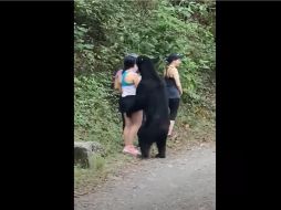 El animal fue captado en un acercamiento a  visitantes en el Parque Ecológico Chipinque. ESPECIAL