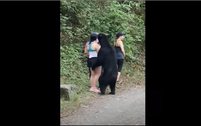 El animal fue captado en un acercamiento a  visitantes en el Parque Ecológico Chipinque. ESPECIAL