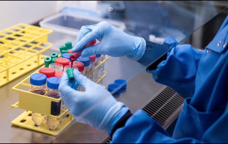 Reino Unido también firmó con AstraZeneca un acuerdo para desarrollar un tratamiento con anticuerpos para las personas que no puedan ser vacunadas con el COVID-19.. AP / ARCHIVO