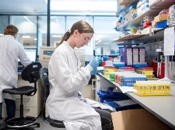 Los científicos admiten que aún debe seguir la investigación para determinar si los anticuerpos son suficientes. AP / John Cairns, University of Oxford