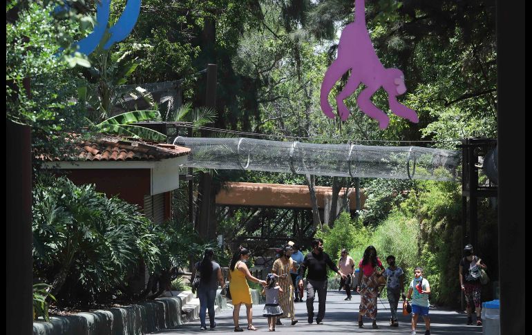 El Zoológico Guadalajara pide mantener la distancia social entre los visitantes, lavarse las manos y portar cubrebocas en todo momento. SUN / C. Zepeda