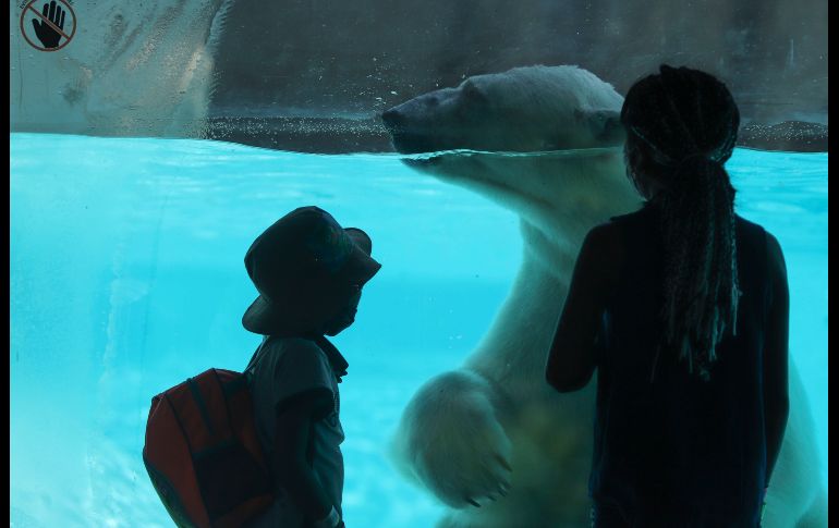 El Zoológico Guadalajara pide mantener la distancia social entre los visitantes, lavarse las manos y portar cubrebocas en todo momento. SUN / C. Zepeda