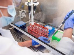 Ebrard explicó que se creó la Plataforma Acceso Global para la Vacuna contra el COVID-19, que tiene como objetivo destinar dos mil millones de dosis de la vacuna contra este virus para finales de 2021. AP / ARCHIVO