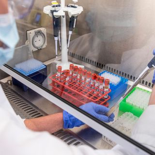 A fin de año probablemente se tenga una vacuna contra COVID-19: Ebrard