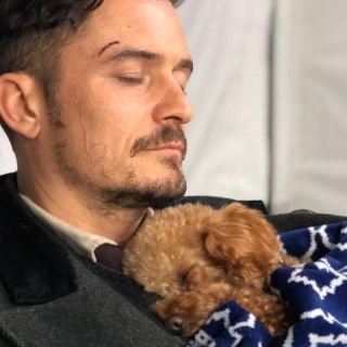 Orlando Bloom da por muerto a su perrito y se tatúa su nombre en el pecho