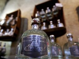 Producir un litro de tequila requiere entre cinco y siete kilos de esta planta, que tarda cerca de siete años en crecer. AFP/ARCHIVO