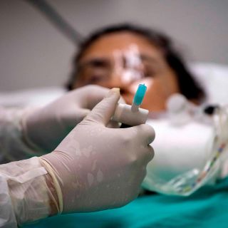 Argentina aprueba ensayo clínico de plasma equino contra COVID-19