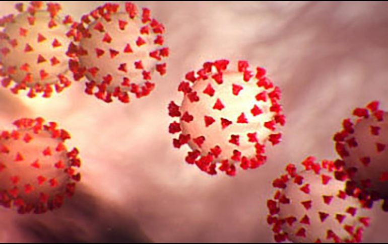 La supervivencia del virus en temperaturas altas lo demuestran en los dos países más afectados del mundo: EU y Brasil. AFP / ARCHIVO