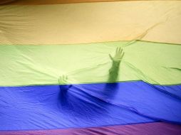 En la sesión, solamente se lograron alcanzar 16 de los 17 votos necesarios para aprobar el dictamen 51. EFE/ARCHIVO