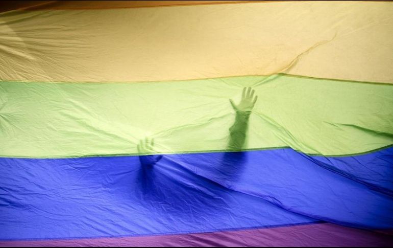 En la sesión, solamente se lograron alcanzar 16 de los 17 votos necesarios para aprobar el dictamen 51. EFE/ARCHIVO