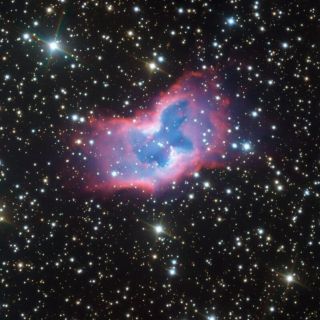 Captan nítidas imágenes de una "mariposa espacial"