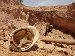 Detallan que el accidente ocurrió durante la madrugada de este viernes. EL INFORMADOR/ARCHIVO