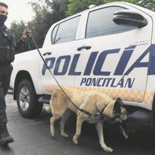 Desarman a policías de Poncitlán y Jalostotitlán; suman cuatro en el año