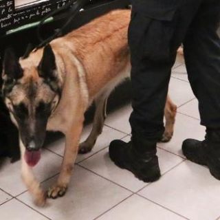 Hallan drogas y alcohol en comisarías de Jalostotitlán y Poncitlán