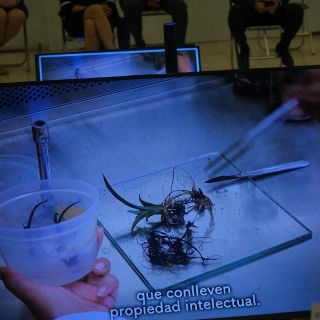 Lanzan primer "hub" de emprendimiento biotecnológico en Jalisco