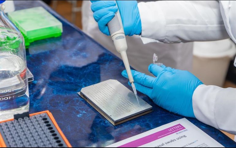 Fueron 21 las personas que se presentaron inicialmente como positivas para la COVID-19 y sin síntomas, pero terminaron teniendo síntomas. EFE/Universidad de Talca