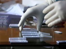 A nivel nacional, México alcanzó los 498 mil 380 casos positivos y 54 mil 666 defunciones causadas por la enfermedad. EFE/ARCHIVO