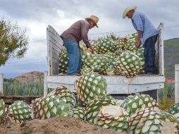Los números negativos de julio —mes en que otros estados mostraron signos de recuperación— se pueden explicar por la temporalidad de muchos sectores económicos en Jalisco. NOTIMEX/Archivo