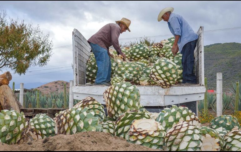 Los números negativos de julio —mes en que otros estados mostraron signos de recuperación— se pueden explicar por la temporalidad de muchos sectores económicos en Jalisco. NOTIMEX/Archivo