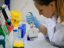 Los voluntarios que recibieron la vacuna no han presentado reacciones adversas. EFE/RDIF