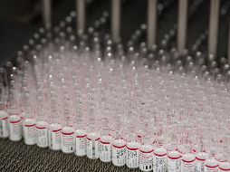 Las vacunas estarán listas en el primer semestre de 2021 y se distribuirán de manera equitativa en Latinoamérica. EFE/A. Rudakov