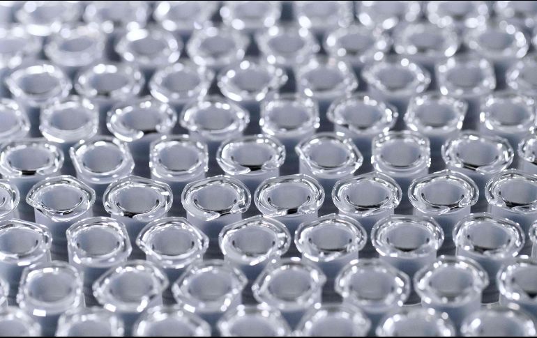 Autoridades aseguraron que se producirían entre 150 y 250 mil dosis de la vacuna contra el COVID-19. AFP / ARCHIVO