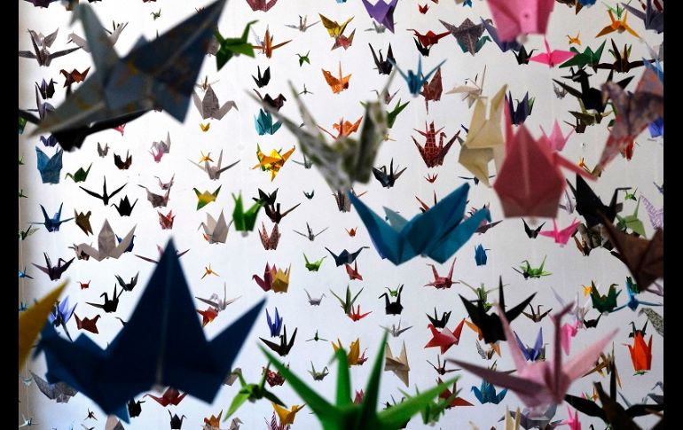 Funderburk tenía nueve mil 300 grullas hasta este jueves gracias a la ayuda que obtiene por parte de voluntarios. AP/R. Vogel