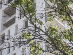 Las personas optan por seguir rentando ante la incertidumbre económica en el país. EL INFORMADOR/Archivo