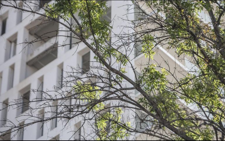 Las personas optan por seguir rentando ante la incertidumbre económica en el país. EL INFORMADOR/Archivo