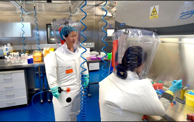 La seguridad y efectividad de la vacuna deberá confirmarse en la fase tres. EFE/ARCHIVO