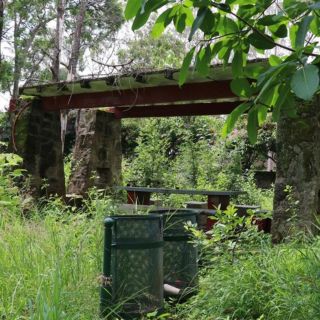 Arranca rehabilitación del parque Puerta de la Barranca en Guadalajara