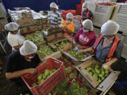 El Banco de Alimentos atiende a más de 30 mil familias vulnerables en la entidad. EL INFORMADOR/ARCHIVO