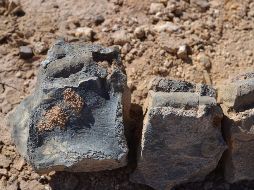 EFE/Universidad de Chile