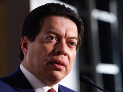 ''Una cosa son los sobornos que ha denunciado Lozoya y otra cosa es un video donde haya la aportación directa de ciudadanos a la construcción del movimiento'', indicó. SUN / ARCHIVO