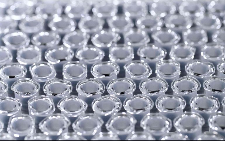 México participará en los estudios clínicos de la vacuna GRAd-COV2, para hacer frente a la pandemia del COVID-19, que actualmente se desarrolla en el Instituto Nacional de Enfermedades Infecciosa Lazzaro Spallanzani de Italia. AFP / ARCHIVO