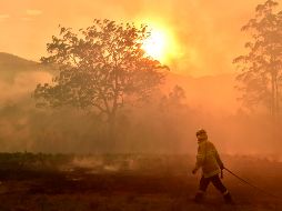 Advierten que los fuegos extremos serán probablemente más frecuentes. AFP/P. Parks
