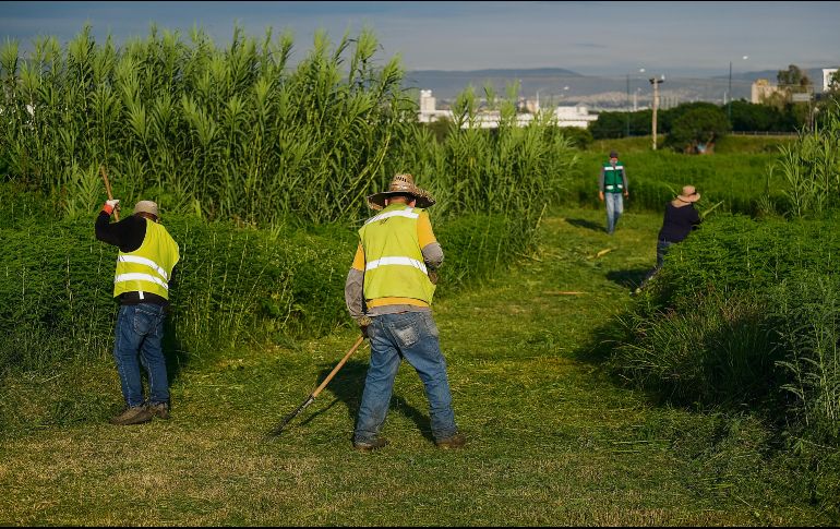 El terreno, ubicado frente al Instituto Jalisciense de Ciencias Forenses, mide 10 hectáreas. ESPECIAL