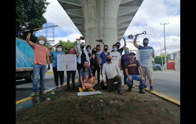 Por tercera ocasión ciudadanos plantan enredaderas en pilares de la Línea 3