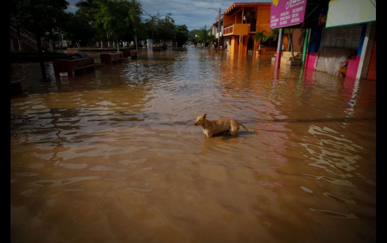 EL INFORMADOR / F. Atilano