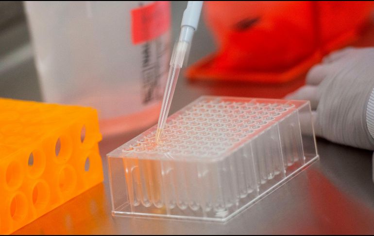 Rusia ha anunciado que ya tiene lista una vacuna y que se prepara para vacunar a su población, a pesar de que acaba de entrar en la fase 3 de los ensayos. AFP / ARCHIVO